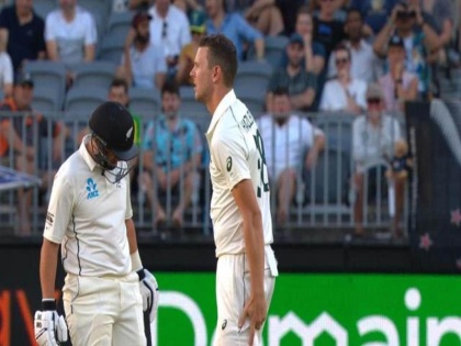 Australia vs New Zealand, 1st Test: Josh Hazlewood ruled out of Perth Test with hamstring strain | AUS vs NZ, 1st Test: मैच के बीच ऑस्ट्रेलिया को लगा बड़ा झटका, जोश हेजलवुड पर्थ टेस्ट से बाहर