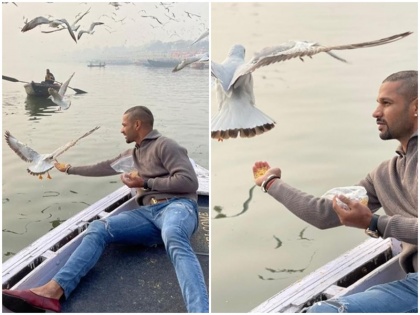 Shikhar Dhawan spotted feeding cute birds, violating bird flu guidlines in varanasi | शिखर धवन पर हो सकती है कार्रवाई, भारी पड़ा परिंदों को दाना खिलाना