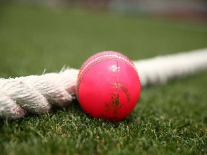 India vs Bangladesh Day-Night Test: Captains to receive pink balls from paratroopers | IND vs BAN: डे-नाइट टेस्ट होगा खास, सेना बजाएगी दोनों देशों का राष्ट्रगान, कप्तानों को पैराट्रूपर सौंपेंगे गुलाबी गेंद
