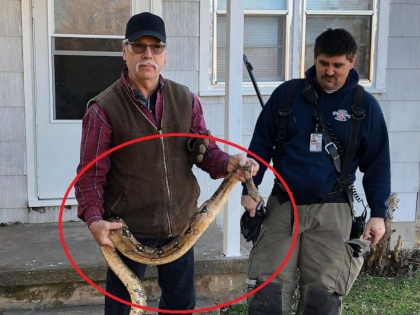 A Kansas man reached into his couch for his keys, He discovered a 6-foot boa constrictor | यह आदमी घर में ढूंढ़ रहा था चाबी, फर्नीचर कुशन के अंदर मिला 6 फुट लंबा बोआ कंस्ट्रिकटर सांप