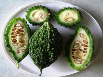 on World Health Day 2022 known bitter gourd health benefits cure mouth ulcers relieve kidney stone problems in hindi | World Health Day 2022: वर्ड हेल्थ डे 2022 पर जानें करेला के छुपे हुए लाभकारी फायदे, मुंह के छालों को दूर कर पथरी वाले मरीजों को देता है राहत on World Health Day 2022 known bitter gourd health benefits cure mouth ulcers relieve kidney stone problems in hindi | World Health Day 2022: वर्ड हेल्थ डे 2022 पर जानें करेला के छुपे हुए लाभकारी फायदे, मुंह के छालों को दूर कर पथरी वाले मरीजों को देता है राहत