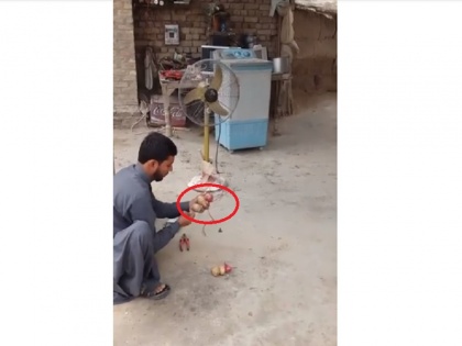 Man generating electricity with potatoes and onions viral video on social media | बिना बिजली आलू और प्याज से इस शख्स ने चला दिया पंखा, वायरल वीडियो में देखें देसी जुगाड़