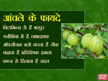 Health Benefits of Amla | पेट खराब हो या शरीर में खून की कमी, सभी समस्याओं का रामबाण इलाज है 'आंवला' Health Benefits of Amla | पेट खराब हो या शरीर में खून की कमी, सभी समस्याओं का रामबाण इलाज है 'आंवला'