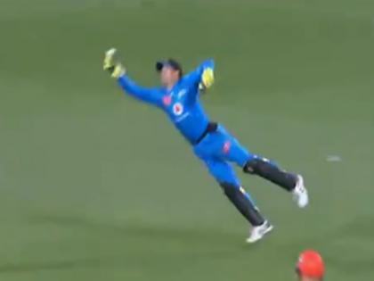 Adelaide Strikers Skipper Alex Carey Throws Himself In The Air To Pull Off A Stunning Catch In BBL 2020 | BBL 2020: हवा में उड़कर एलेक्स कैरी ने एक हाथ से पकड़ा खतरनाक कैच, बल्लेबाज भी रह गया हैरान
