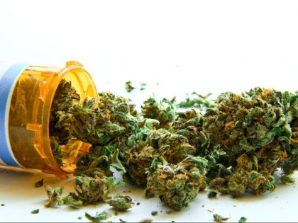 Smoking medical marijuana is now legal in Florida | अमेरिकी राज्य फ्लोरिडा में मरीजों को गांजा-भांग सेवन की इजाजत मिली
