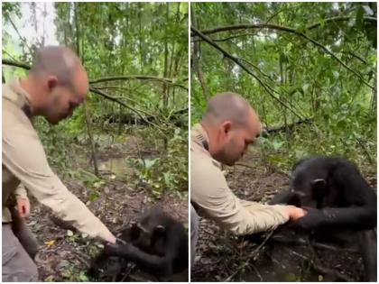 African Chimpanzee took help of photographer to drink water business magnate Anand Mahindra shared video | अफ्रीका: पानी पीने के लिए चिंपैंजी ने ली फोटोग्राफर की ऐसी मदद, बिजनेस मैग्नेट आनंद महिंद्रा ने वीडियो शेयर कर लिखा भावुक पोस्ट