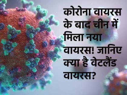 After coronavirus, China detects new virus that can damage brain Know all about Wetland virus | कोरोना के बाद चीन में मिला नया वायरस! मस्तिष्क को पहुंचा सकता है नुकसान, जानिए वेटलैंड वायरस के बारे में सबकुछ