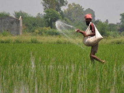 Center and Bihar govt face to face on fertilizers, Union minister made allegations against state agriculture minister | बिहार में हो रही खाद की कालाबाजारी! केंद्र और बिहार सरकार आमने-सामने, केंद्रीय मंत्री ने राज्य के कृषि मंत्री पर लगाए गंभीर आरोप