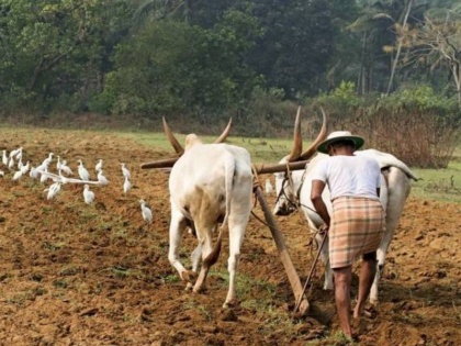 N. K. Singh's blog: Economic development is possible only through agriculture | एन. के. सिंह का ब्लॉग: आर्थिक विकास केवल कृषि से ही संभव