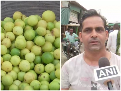 lemon prices in india increases due to inflation petrol diesel prices 300 rs per kg lemon selling new delhi ghazipur mandi nagpur news | Lemon Price Hike: पेट्रोल-डीजल के बाद नींबू पर चढ़ी मंहगाई की मार, कई जगहों पर 300 रुपए पार, आम आदमी की पहुंच से हुआ दूर