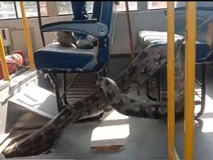 Video: Giant python trapped in the engine of a school bus in UP's Rae Bareli | वीडियो: यूपी के रायबरेली में स्कूल बस के इंजन में फंस गया विशालकाय अजगर, रस्सी बांधकर निकाला गया