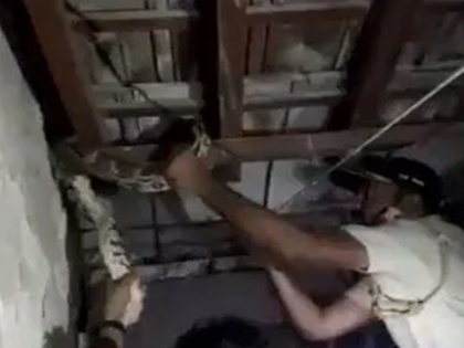 6-foot python found on the roof of the house Mumbai cop watch video here | वीडियो: नए साल के जश्न के बीच घर की छत पर आया 6 फुट का अजगर, देखते ही लोगों के छूटे पसीने और फिर...