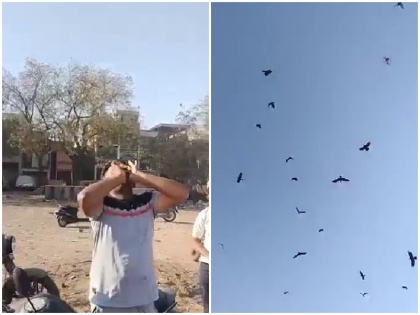 akku bhai man make sound like crow to call birds video went viral as crow master | वीडियो: देखते ही देखते चंद सेकेंड में शख्स ने बुला डाली कौओं की टोली, क्लिप देख सोशल मीडिया यूजर बोले- छा गए मियां