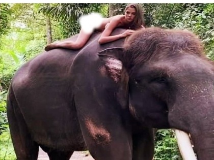 Russia's Instagram influencer poses nude on elephant, know what she said after criticism | रूस की इंस्टाग्राम इन्फ्लुएंसर ने हाथी पर लेटकर दिया नग्न पोज, जानें आलोचना के बाद सफाई में क्या कहा