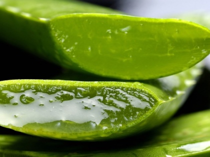 3 Easy Ways To Use Aloe Vera For Skin | Skin Care Tips: बेदाग और चमकती त्वचा के लिए इन 3 आसान तरीकों से करें एलोवेरा का इस्तेमाल