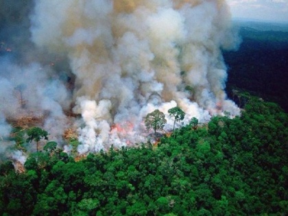 Amazon fire: Tribal chief accuses Brazil's president of serious allegations, says he wants to destroy rainforest | अमेजन आग: जनजातीय प्रमुख ने ब्राजील के राष्ट्रपति पर लगाए गंभीर आरोप, कहा- वे वर्षावन को नष्ट करना चाहते हैं