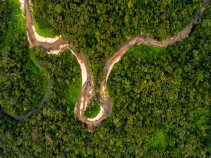 Columbia: four children including 11 month old baby found alive in Amazon after plane crash says President Gustavo Petro | चमत्कार! अमेजन के घने जंगल में दो हफ्ते पहले हुई विमान दुर्घटना में बचा नवजात सहित चार बच्चे जिंदा मिले, एक मई को हुआ था हादसा