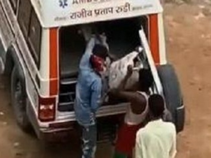 pappu yadav shares video showing ambulances bought from rajiv pratap rudys mplad fund carrying | 50 एम्बुलेंस को खड़ी रखने पर घिरे बीजेपी सांसद, पूर्व सांसद पप्पू यादव ने वीडियो शेयर कर लगाए कई गंभीर आरोप