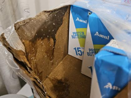 Watch Worms found in Amul Butter Milk cans customer complained to the company by sharing the video | Watch: अमूल बटर मिल्क के डिब्बे में मिले कीड़े, ग्राहक ने वीडियो शेयर कर कंपनी ने की शिकायत