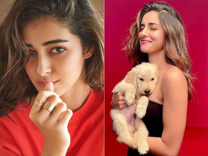 Ananya Pandey shares pics with puppy on social media