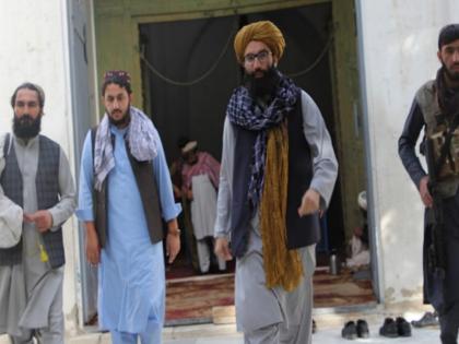 Afghanista Taliban leader Anas Haqqani reached Mahmud Ghaznavi tomb talks about somnath temple | महमूद गजनवी की कब्र पर पहुंचा तालिबानी नेता अनस हक्कानी, तस्वीरें ट्वीट कर सोमनाथ मंदिर तोड़े जाने का किया जिक्र Afghanista Taliban leader Anas Haqqani reached Mahmud Ghaznavi tomb talks about somnath temple | महमूद गजनवी की कब्र पर पहुंचा तालिबानी नेता अनस हक्कानी, तस्वीरें ट्वीट कर सोमनाथ मंदिर तोड़े जाने का किया जिक्र