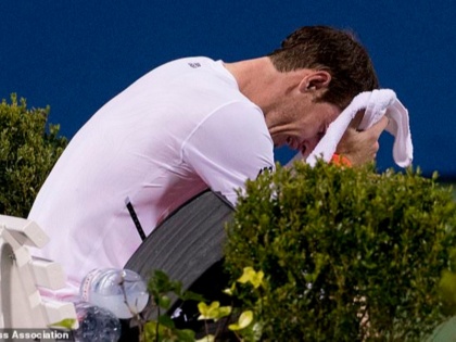 Andy Murray sobs after reaching Citi Open quarterfinals | सिटी ओपन क्वॉर्टर फाइनल में पहुंचते ही भावुक हुए एंडी मरे, तौलिए में मुंह ढंककर सुबकने लगे