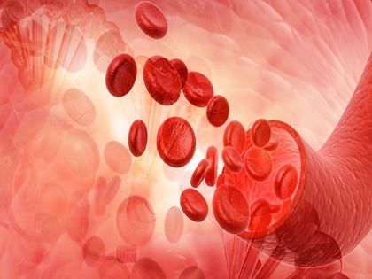 early sign and symptoms of anemia and low level of hemoglobin, best iron rich foods for anemia patients | शरीर में खून की कमी 'एनीमिया' के 10 लक्षणों को समझें, खून बढ़ाने के लिए खाएं ये 5 चीजें
