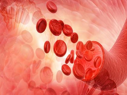 Anemia Symptoms and causes these 5 mistakes can infect your body with Anemia
