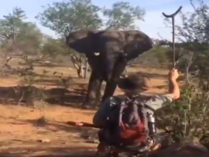 agery elephant attack on a person video viral on internet | जंगल में हाथी के गुस्से को इस शख्स ने कैसे बेहद रोचक अंदाज में कर दिया छू मंतर, देखें वीडियो