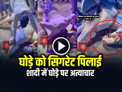 Animal Cruelty Tortured a Horse, Forced him to Smoke Cigarettes, did push-ups on it | VIDEO: शादी में घोड़े पर अत्याचार, सिगरेट पिलाई, पुशअप लगाए, वीडियो इंटरनेट पर वायरल