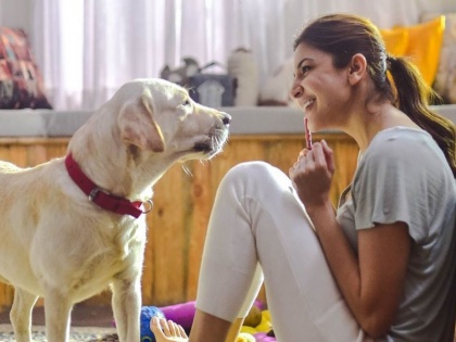 health benefits of petting dogs | कुत्ता पालने से आपकी सेहत को होते हैं ये 5 बड़े फायदे