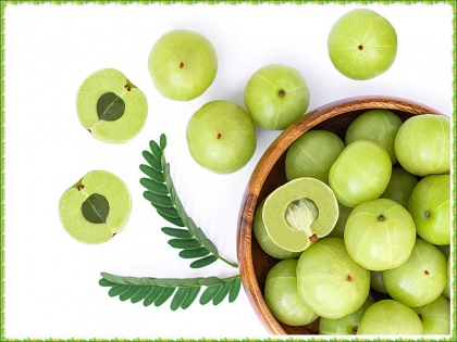 Health Tips: Amla which is called Indian Gooseberry, know its 10 healthy benefits, what does Ayurveda say | Health Tips: आंवले के 10 सेहतमंद फायदे, जानिए क्या कहता है आयुर्वेद