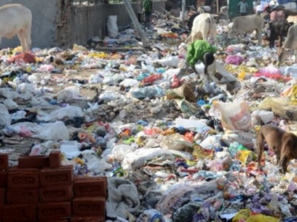 app based garbage collection will launch in delhi and gaziabad | स्वच्छ भारत अभियान का बड़ा कदम, जल्द शुरू होगा App आधारित कूड़ा कलेक्शन