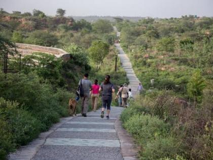 Destruction of Aravali deepens the impact of climate change | पंकज चतुर्वेदी का ब्लॉग: अरावली के उजड़ने से गहरा रही जलवायु परिवर्तन की मार