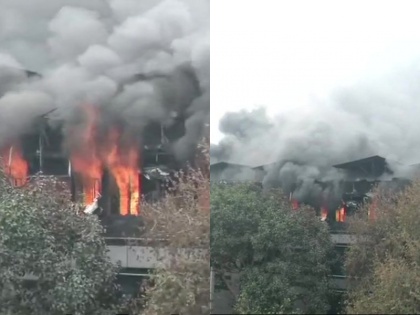 Fire in a factory in Naraina delhi lives updates | दिल्ली: नारायणा में ' आर्चीज़' की फैक्ट्री में लगी भीषण आग, दमकल की 29 गाड़ियां मौजूद, रेस्क्यू ऑपेरशन जारी