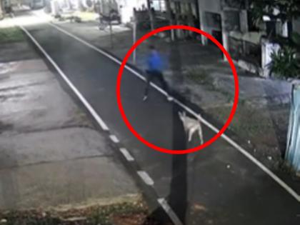 Chennai army man brutally beats stray dog killing dog Shocking video viral | VIDEO: आर्मी के जवान ने सड़क पर घूम रहे कुत्ते को बेरहमी से पीटा, बेजुबान की गई जान; चेन्नई से आया चौंका देने वाला वीडियो