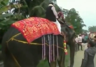 deputy speaker of Assam assembly Kripanath Mallah falls off an elephant, video viral | हाथी की सैर करना असम विधानसभा के डिप्टी स्पीकर को पड़ा महंगा, देखते ही देखते धड़ाम से गिरे, वीडियो वायरल