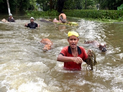 Flood crisis in Northeast 131 people died outcry in many districts of Assam flood | पूर्वोत्तर में बाढ़ से गहराया संकट, 131 लोगों की मौत, असम के कई जिलों में मचा हाहाकार