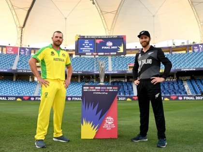 T20 World Cup Australia have an edge for Sunday's final vs New Zealand Wasim Akram | T20 World Cup: ऑस्ट्रेलिया और न्यूजीलैंड में फाइनल मुकाबला, किसका पलड़ा भारी, कौन दावेदार, पाकिस्तान के दिग्गज ने कहा