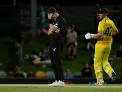 Australia vs New Zealand 2022 Australia won 2 wkts Cameron Green Alex Carey 158-run partnership between Maxwell's four wickets | Australia vs New Zealand 2022: ग्रीन और कैरी के बीच 158 रन की साझेदारी, मैक्सवेल का 'चौका', ऑस्ट्रेलिया ने न्यूजीलैंड को हराया