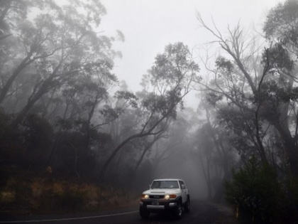 28 people lost their lives due to heavy rain in Australia due to heavy rain in Australia | ऑस्ट्रेलिया में भारी बारिश से जंगलों में लगी भीषण आग से मिली राहत, 28 लोगों की हो चुकी है मौत