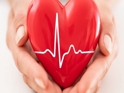 Ayurveda For The Heart: Know about 3 effective medicines that keep the heart healthy, stay healthy by consuming it daily | Ayurveda For The Heart: हृदय को स्वस्थ रखने वाली 3 गुणकारी औषधियों के बारे में जानिए, रोजाना सेवन से रहिये निरोग