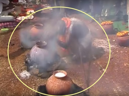 VIDEO: Man Bath With Hot Milk For There Traditions and Customs in India | देवी मां को प्रसन्न करने के लिए खौलते दूध से नहाता है ये पुजारी, VIDEO देख कांप जाएंगे