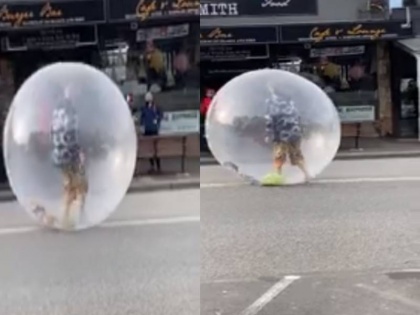 australia man in giant bubble to shield to protect from corornavirus video viral | कोरोना से बचने के लिए शख्स ने बनाया गुब्बारे को अपना सुरक्षा कवच, सड़कों पर यूं घूमते दिखा, देखें वायरल वीडियो