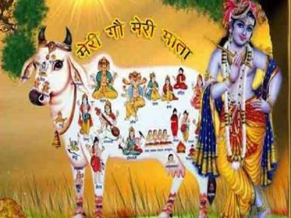 bachh baaras 2020: aaj hotee hai gaay aur bachhade kee pooja jaanie pooja vidhi katha va mahatv | बछ बारस 2020: आज होती है गाय और बछड़े की पूजा, जानिए पूजा विधि, कथा व महत्व bachh baaras 2020: aaj hotee hai gaay aur bachhade kee pooja jaanie pooja vidhi katha va mahatv | बछ बारस 2020: आज होती है गाय और बछड़े की पूजा, जानिए पूजा विधि, कथा व महत्व