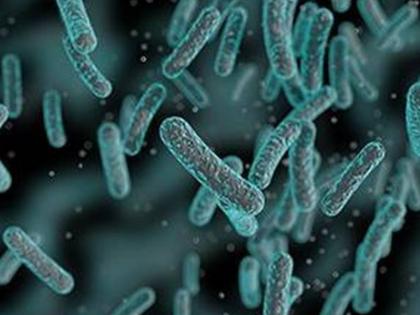 Microorganisms discovered in Jeevandayini Ganga | प्रमोद भार्गव का ब्लॉग: जीवनदायिनी गंगा में सूक्ष्म जीवाणुओं की खोज Microorganisms discovered in Jeevandayini Ganga | प्रमोद भार्गव का ब्लॉग: जीवनदायिनी गंगा में सूक्ष्म जीवाणुओं की खोज