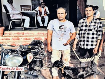 Goat herders in Bihar are troubled by the goat thief gang, forced to keep watch | बिहार में बकरा चोर गिरोह से त्रस्त हुए बकरी पालन करने वाले, पहरा देने को हुए मजबूर