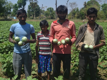 Madhya Pradesh: Balaghat's 6 siblings motivational story | पिता ने 1 किलो चावल देकर किया अलग, सब्जी की खेती से 6 भाइयों ने सुधारी जिंदगी