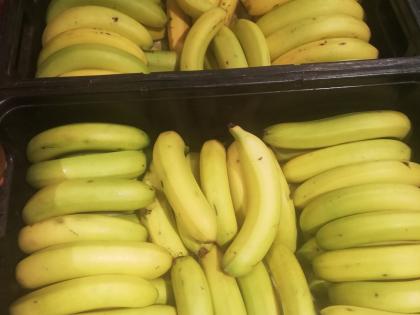 Bharat Bandh Banana farmers Bihar have broken losses of around three crores buyers not reached | Bharat Bandh: बिहार में केला किसानों की टूटी कमर, करीब तीन करोड़ का घाटा, नहीं पहुंचे खरीददार