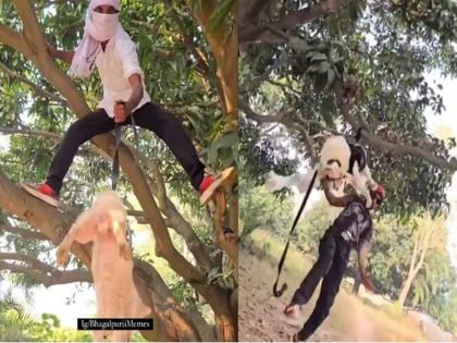 VIDEO: In Bihar's Bhagalpur, a man tied a dog to a tree and beat it with kicks and punches, the video went viral | VIDEO: बिहार के भागलपुर में एक व्यक्ति ने कुत्ते को पेड़ से बांधकर लात-घूंसों से पीटा, वीडियो वायरल किया